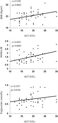 Liver Enzymes Correlate With Metabolic Syndrome, Inflammation, and Endothelial Dysfunction in Prepubertal Children With Obesity